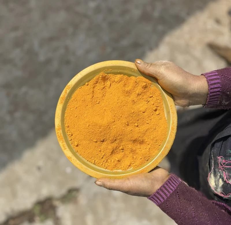 Lakadong Turmeric