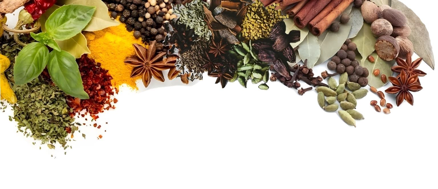 Indian spice commodities for export